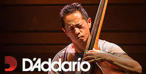 D'Addario（ダダリオ）